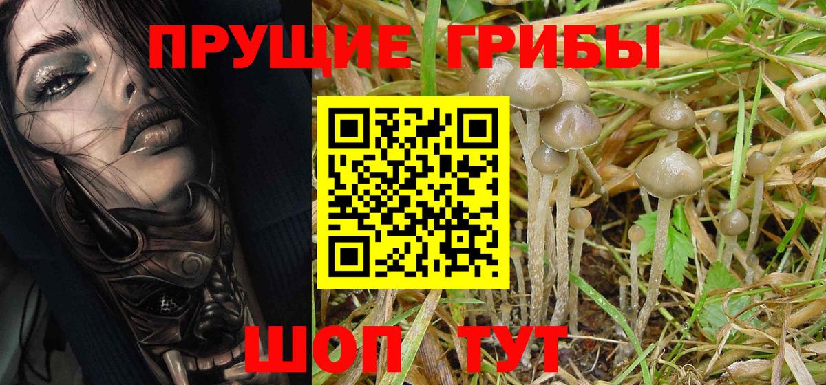 Псилоцибиновые грибы Magic Shrooms  Вход с VPN  Сальск 